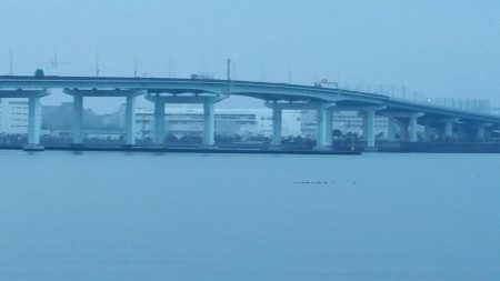 雨後は若干状況の変化あり。でも時合に5匹ゲット。